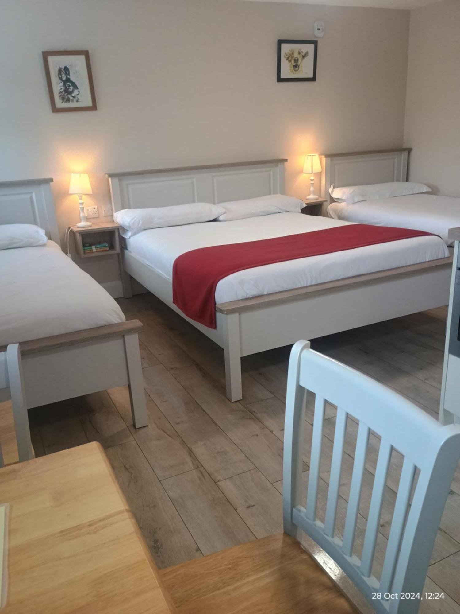 Matty'S Pub - Apartment'S Карлоу Экстерьер фото