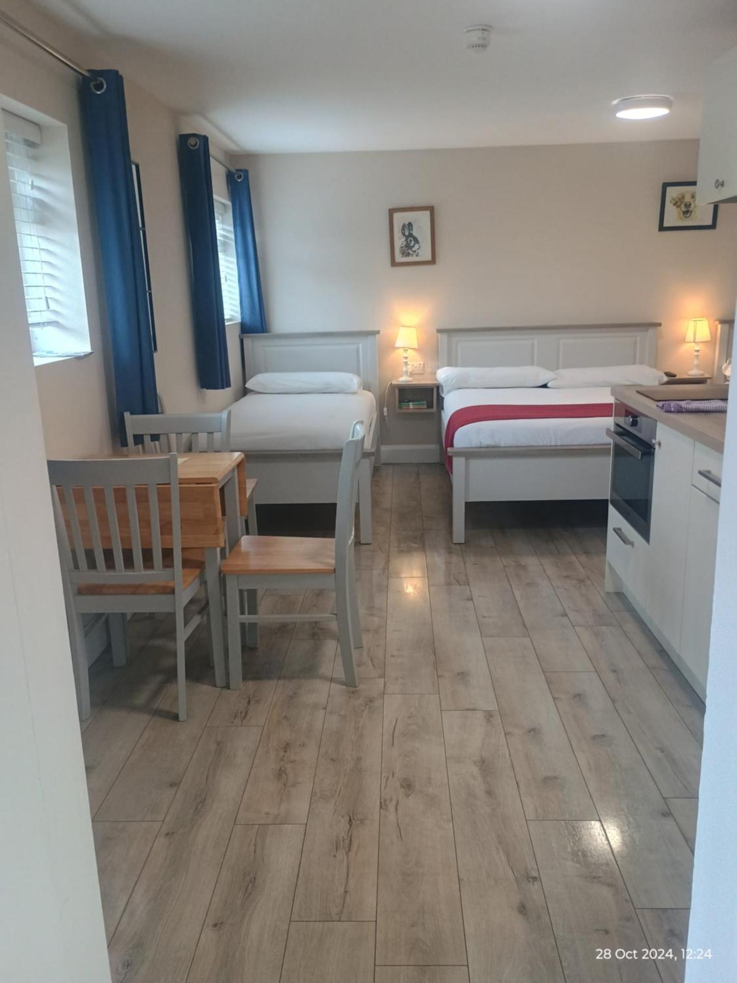 Matty'S Pub - Apartment'S Карлоу Экстерьер фото